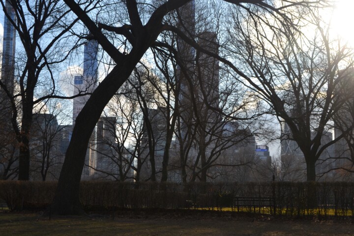 Central Park 19