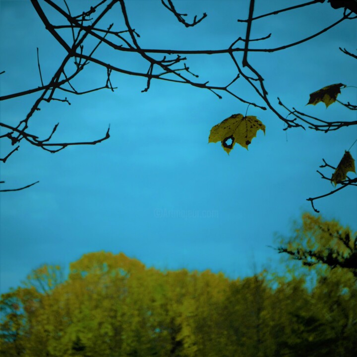 l'automne est arrivée