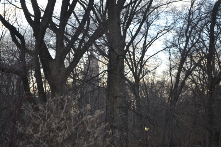 Un soir au Central Park